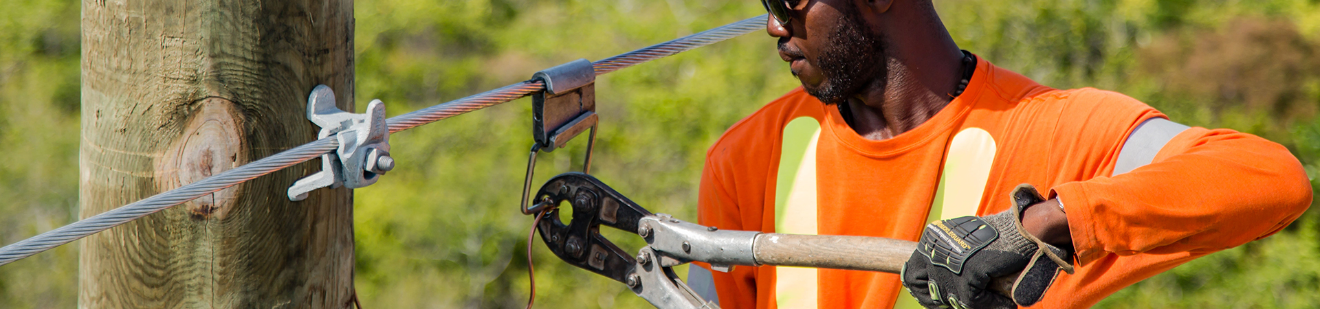 Pelican Energy TCI Career