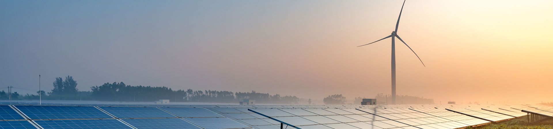 Book an Appointment with Pelican Energy TCI