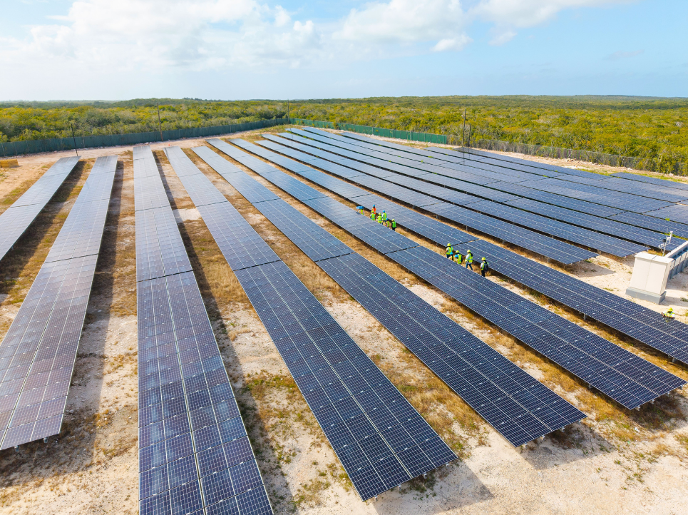  Pelican Energy TCI